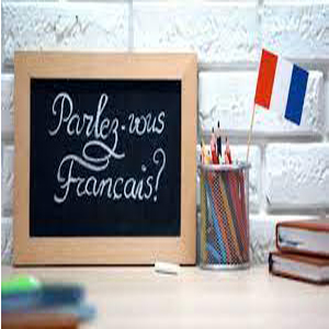 Importance of French language to be able to work in France